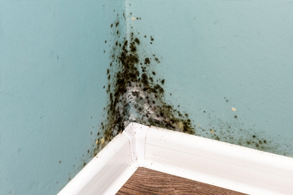 building construction